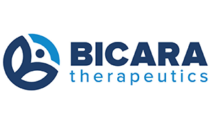 Bicara